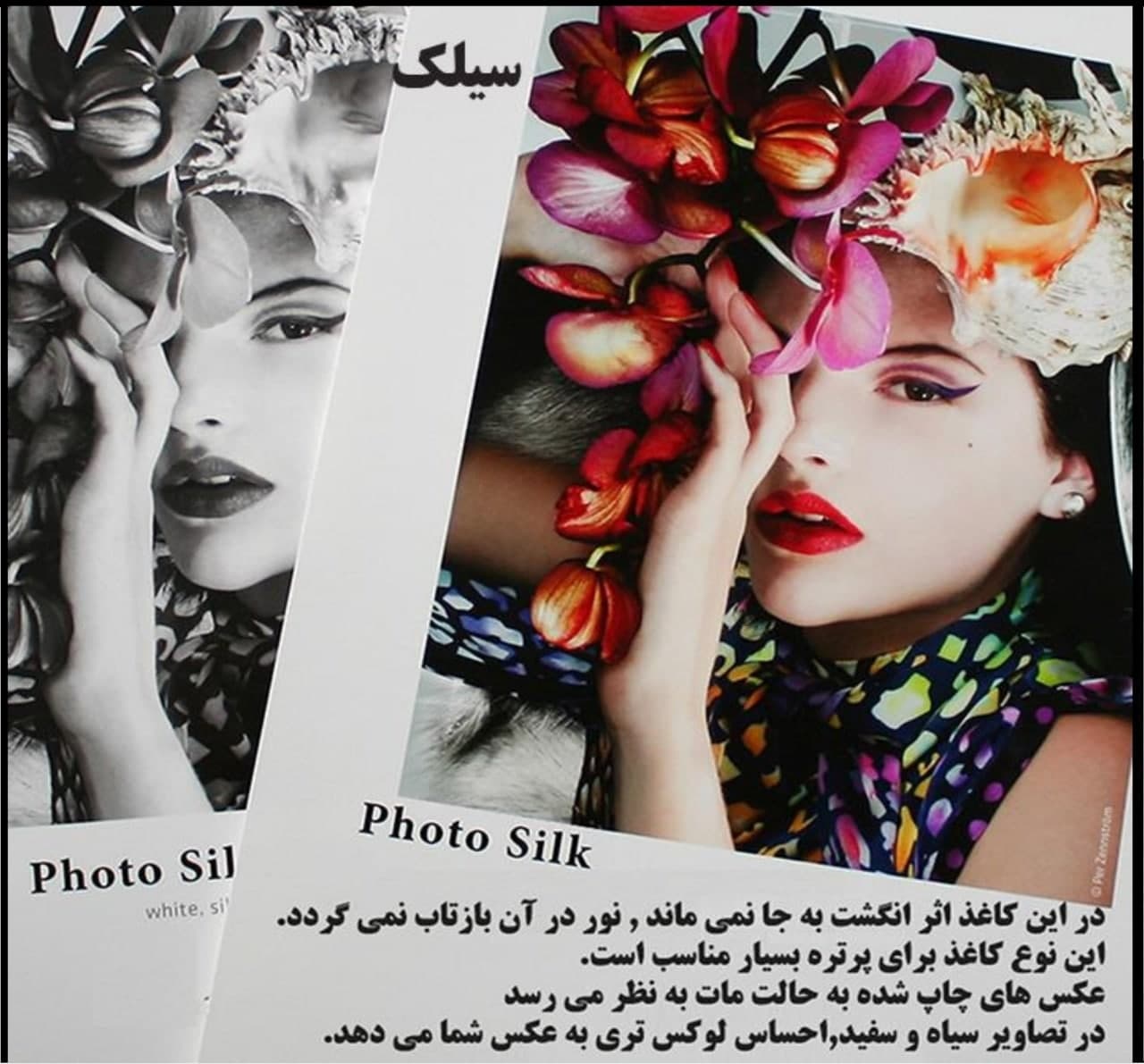 تخته