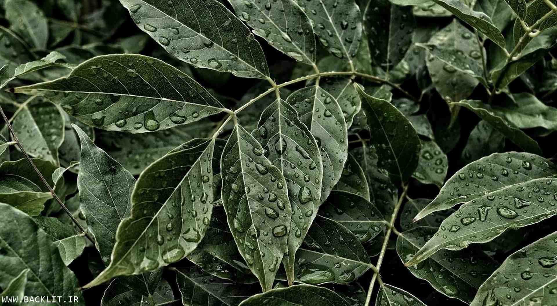 10101