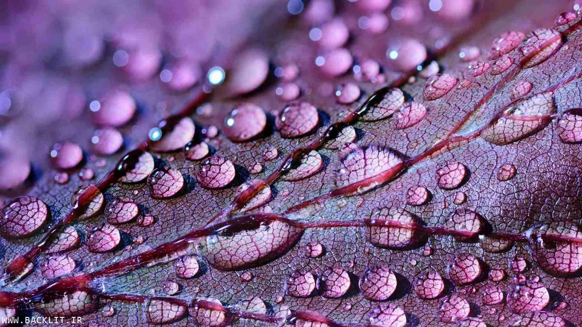 10104