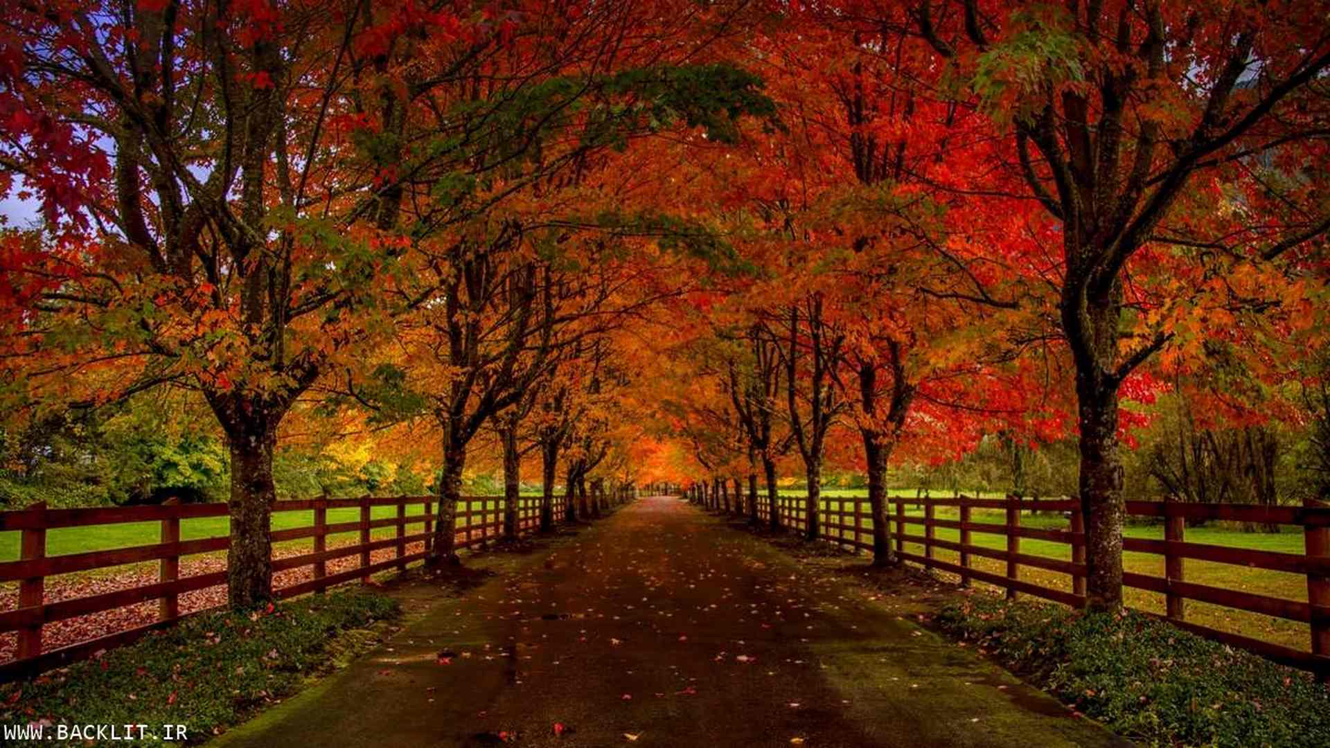 10341