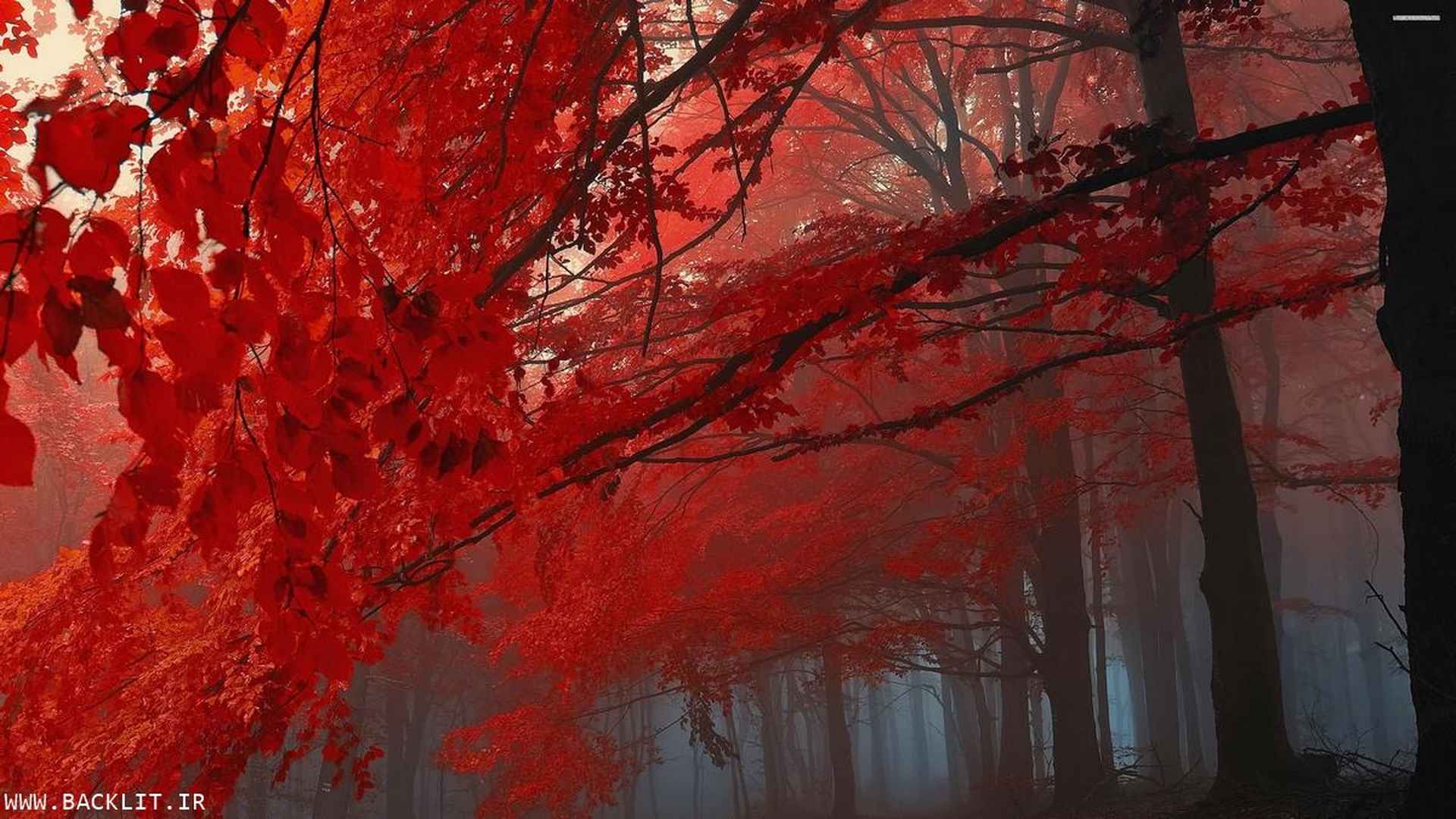 10344
