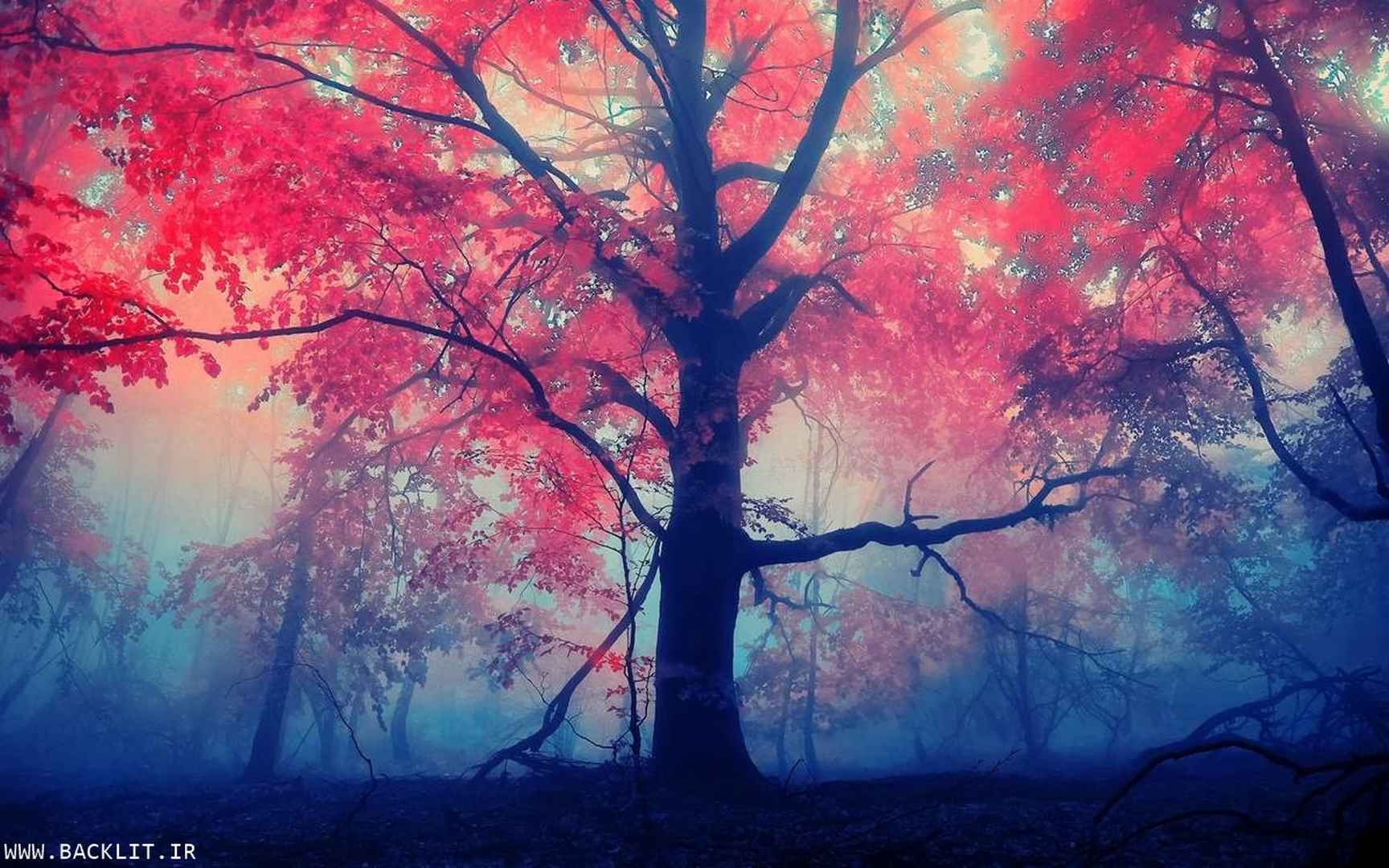 10355