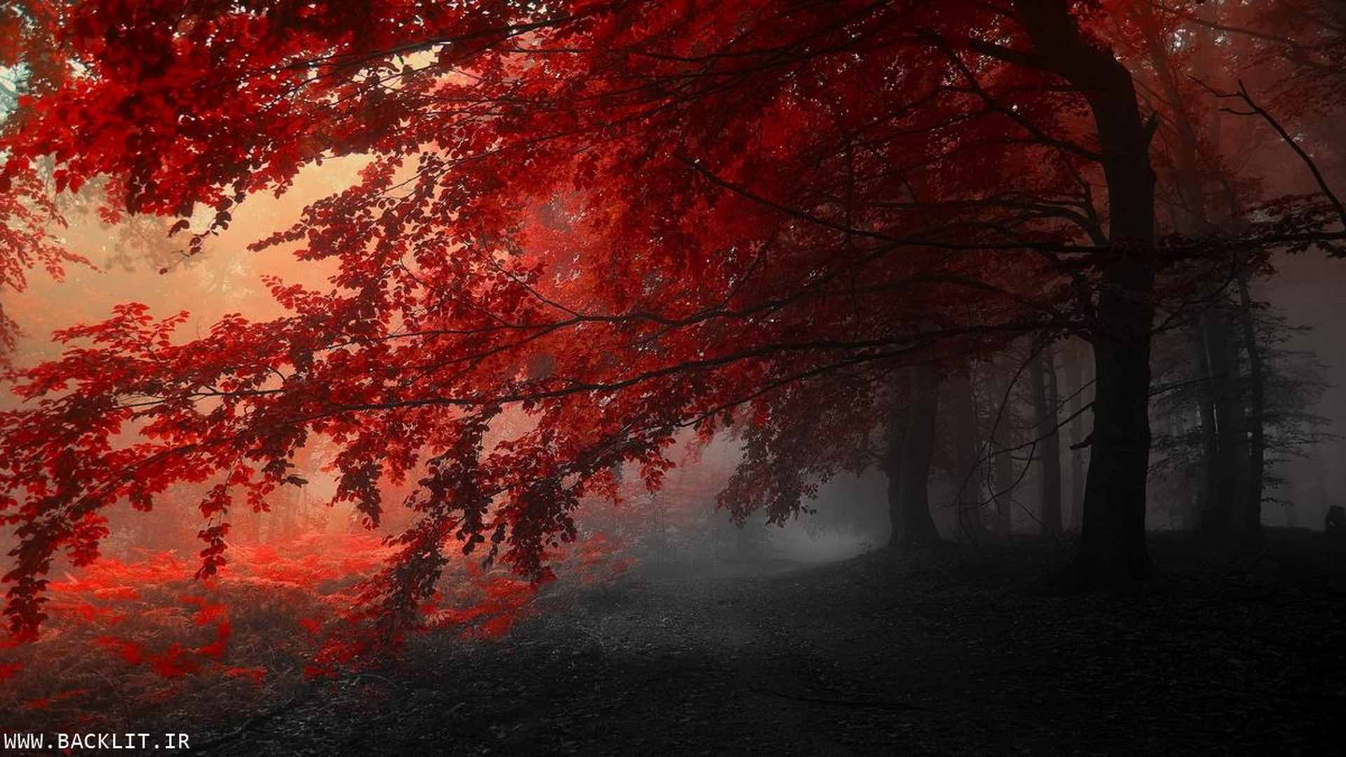 10358
