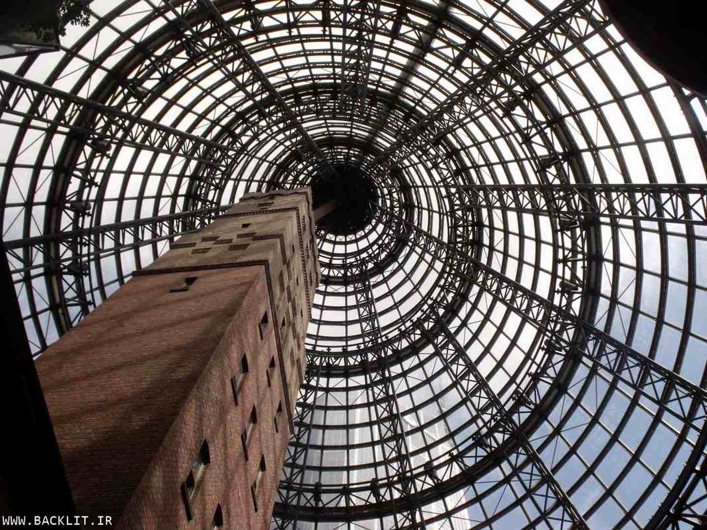 11032