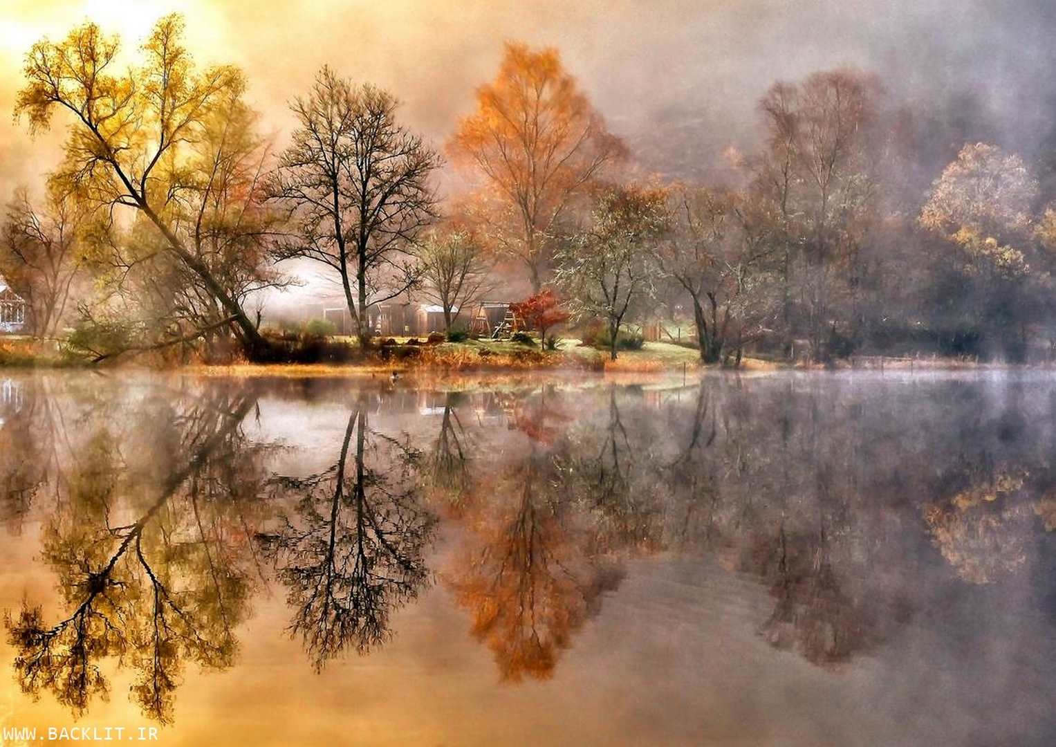11231