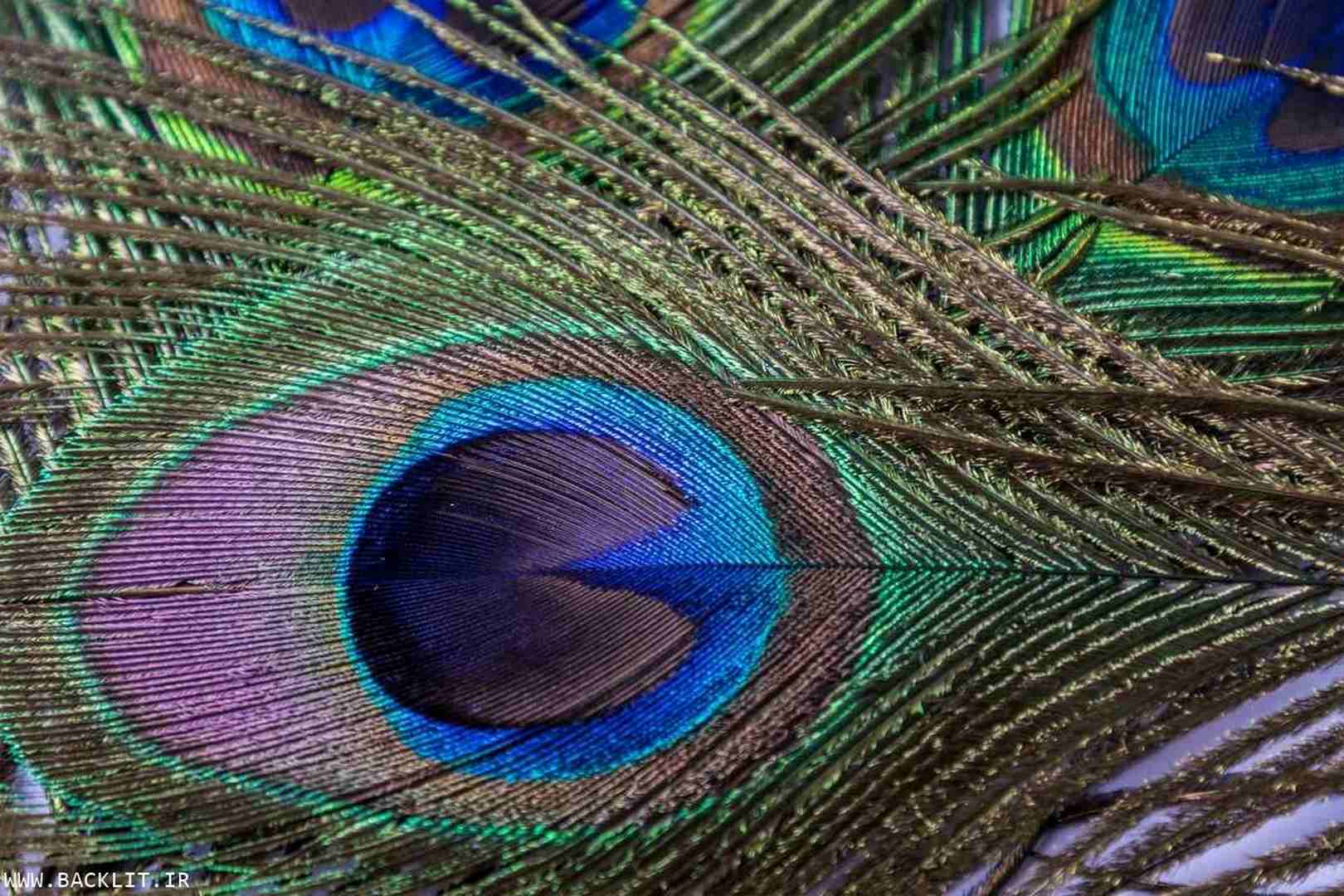 11327