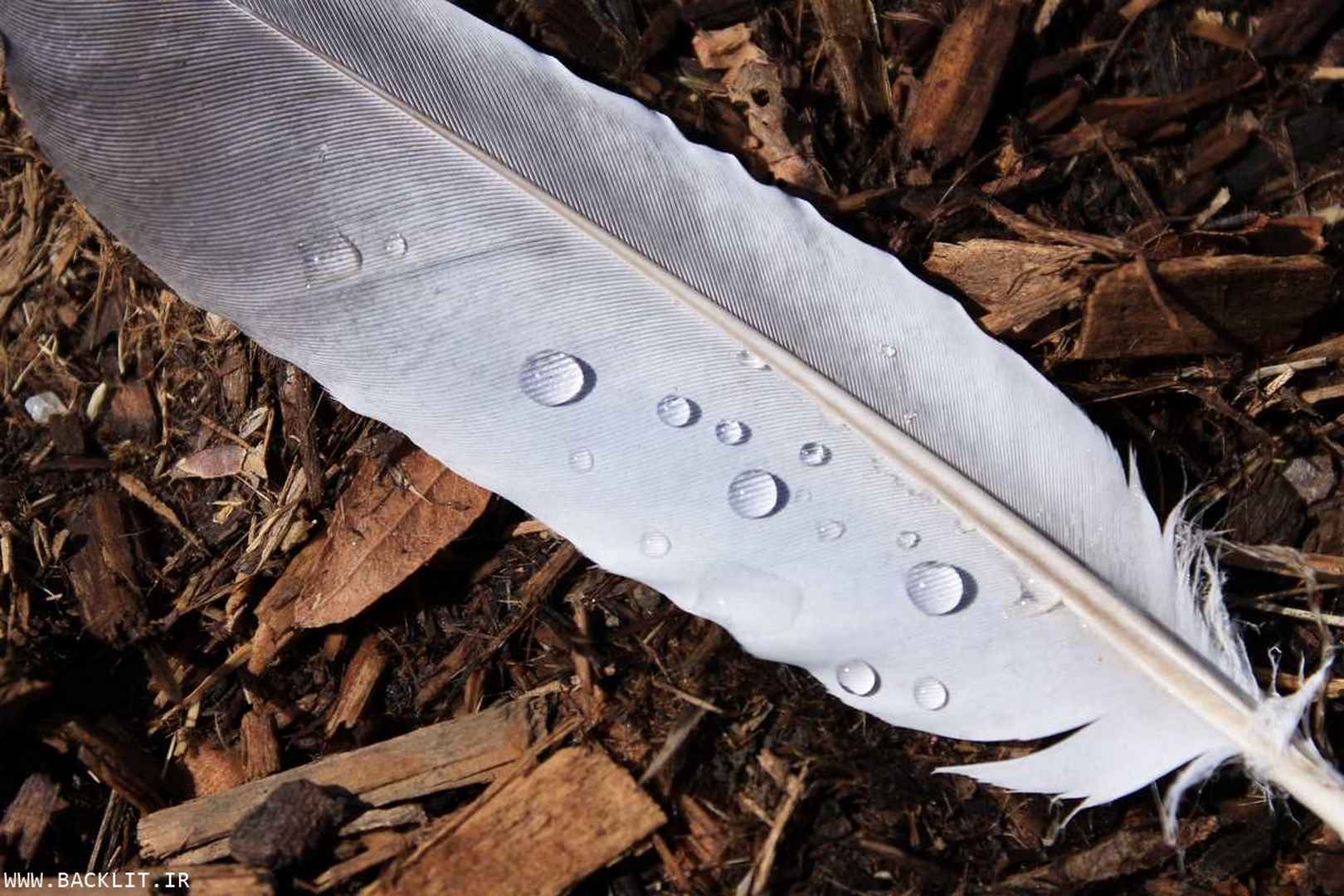 11330