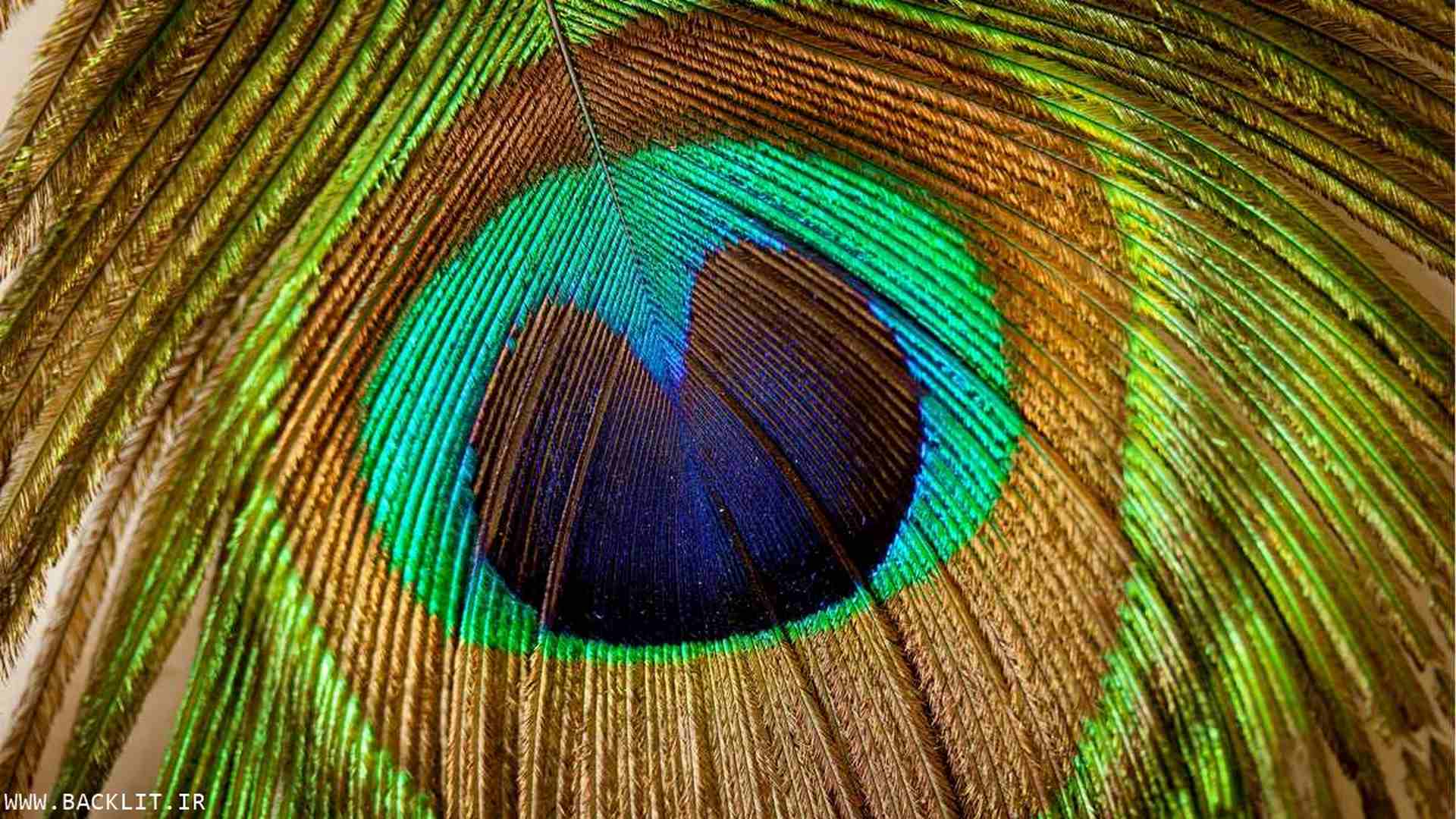 11332