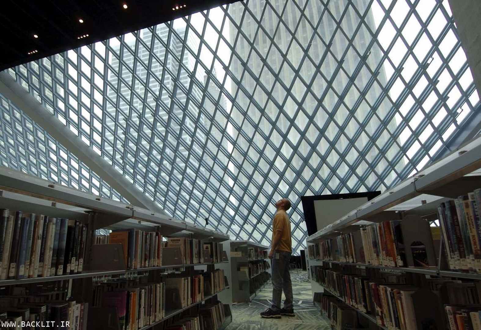 11509