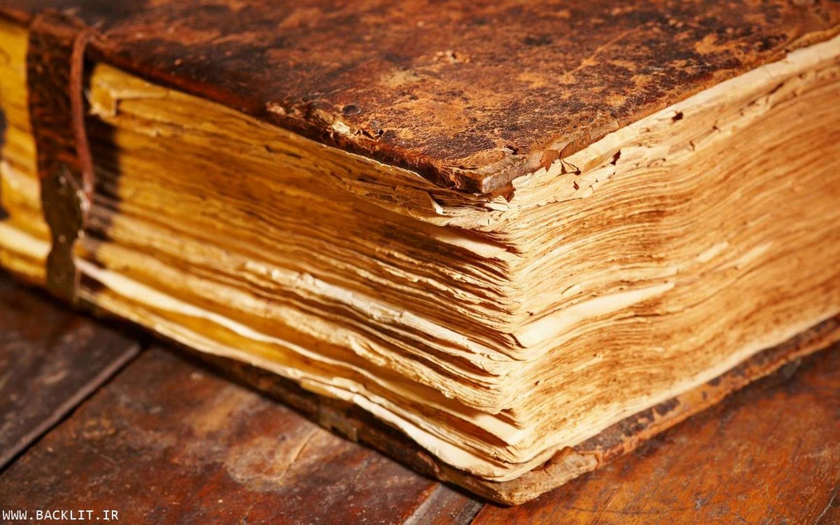 11562