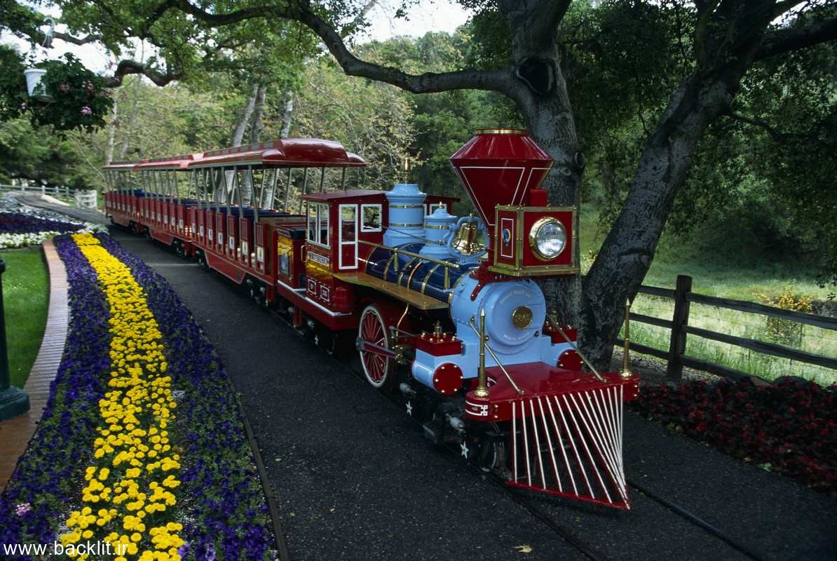 13646