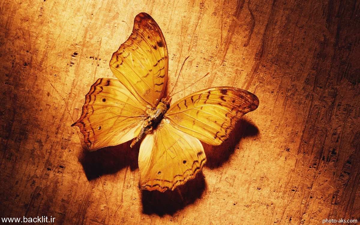 13930
